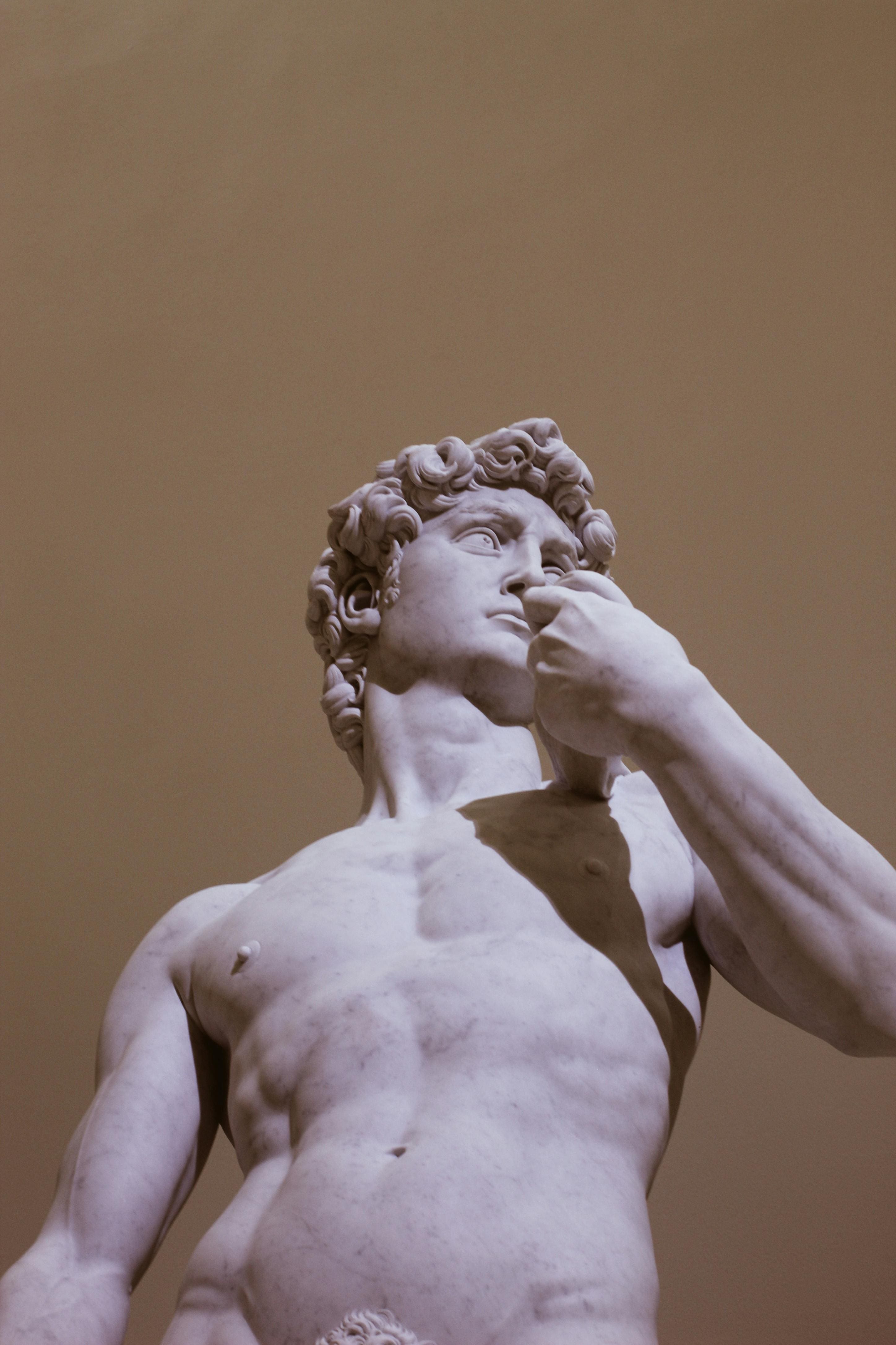 Pystysuora näkymä Michelangelon Davidiin, näkyvillä sen yksityiskohtainen rintakehä ja käsi kasvojen edessä.